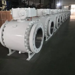Válvula de globo Tek Valves